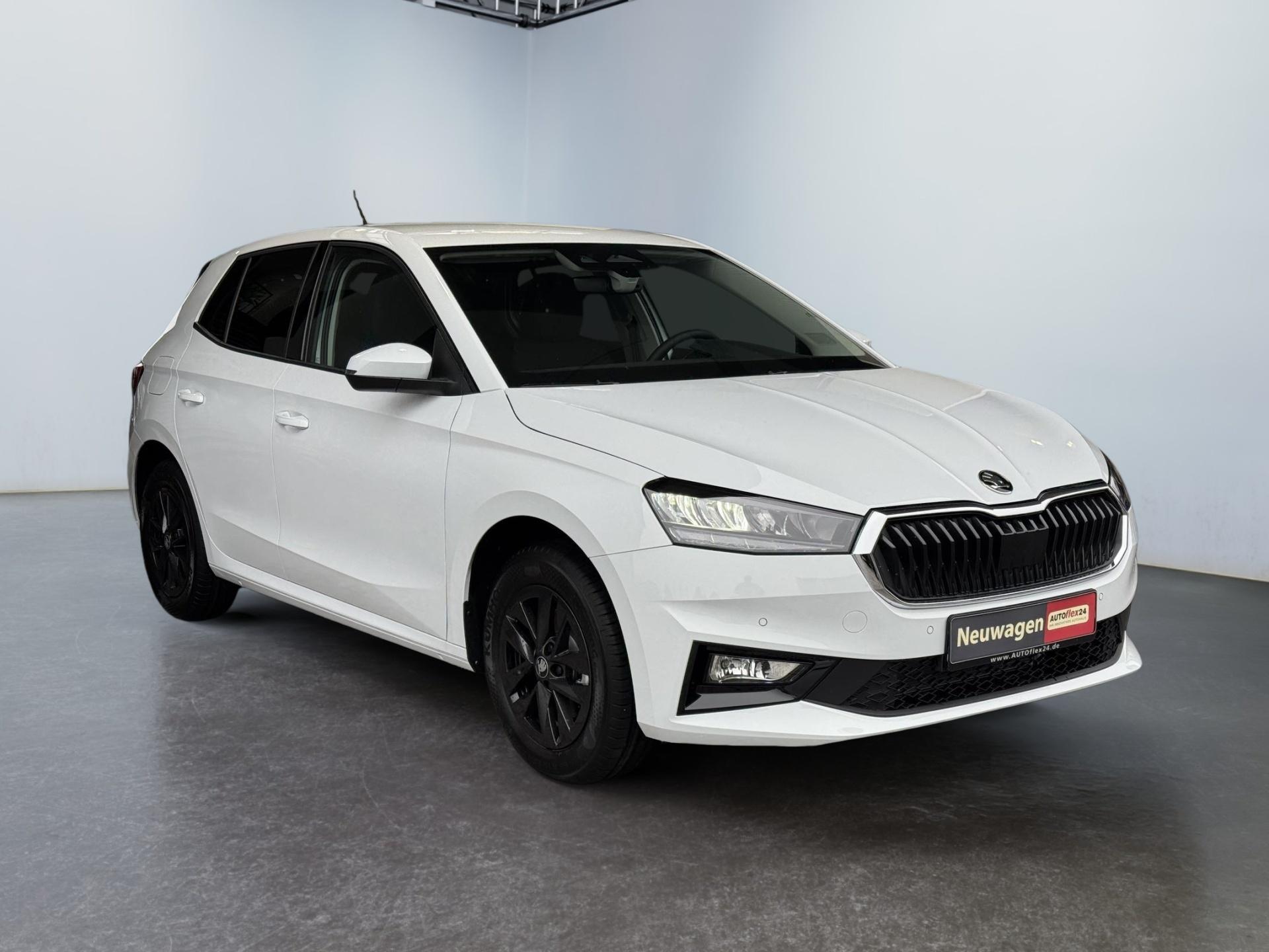 Reimport Skoda Fabia Extra Plus 1,0 TSI DSG kaufen