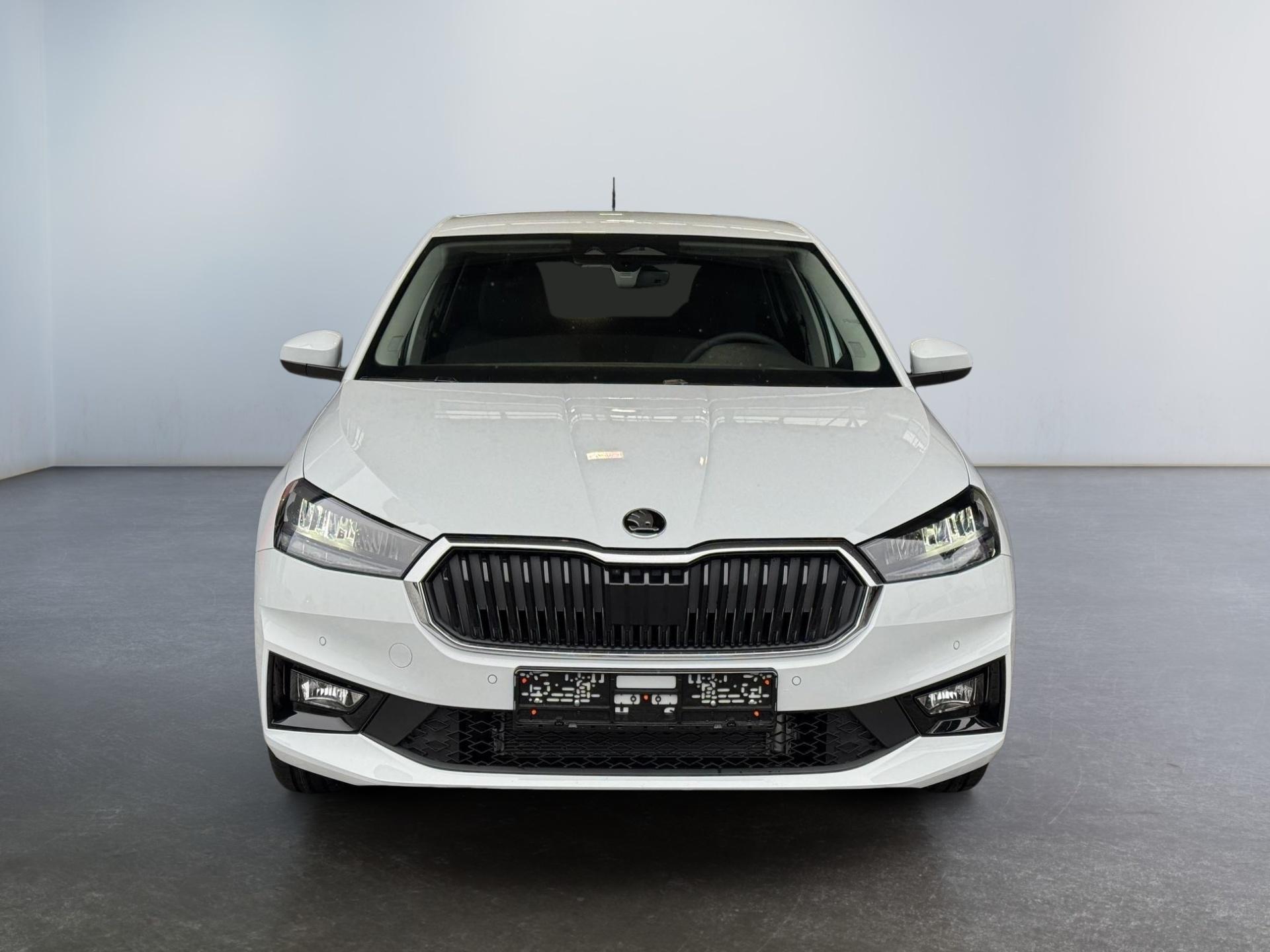 Reimport Skoda Fabia Extra Plus 1,0 TSI DSG kaufen