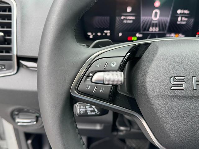 Skoda Karoq Extra Plus 2,0 TDI DSG 2Zoklima 2xEinparkhilfe AHK Kamera Sitzheizung beheiztes Lenkrad 