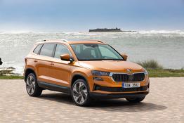 Skoda III Karoq - Ambition 2,0 TDI DSG Klimaau LED SHZ Alu PDC DAB 5JG