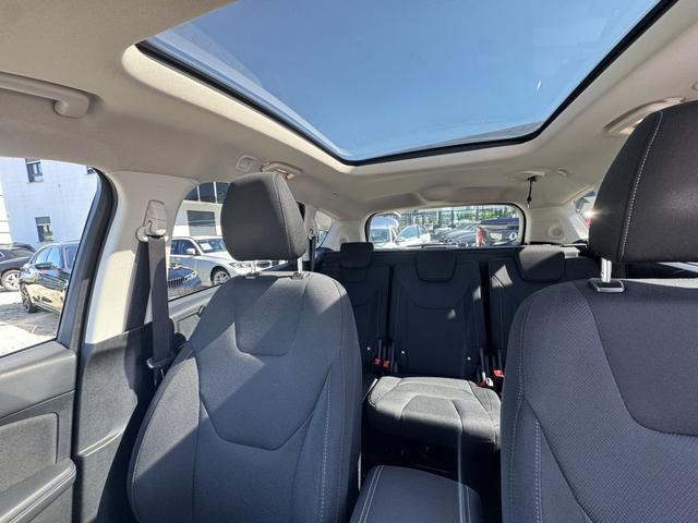 Ford S-MAX 2.0 TDCi Allrad Titanium AHK Panoramadach 