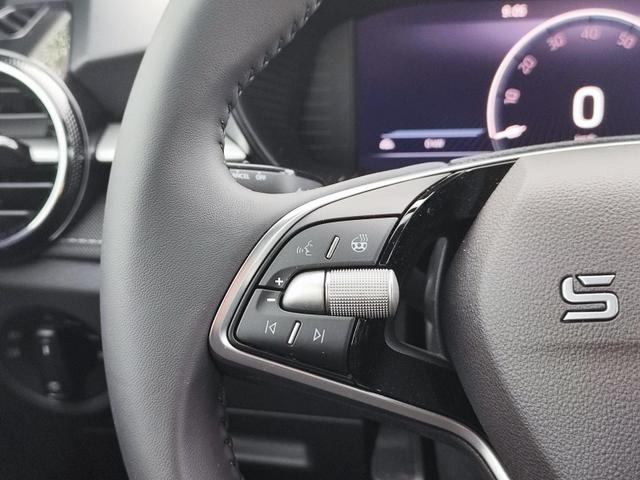 Skoda Fabia 130 Jahre Premium 70KW/95PS Einparkhilfe v+h Rückfahrkamera Totwinkel-Assistent Alufelgen 16" Sitzheizung Garantie 5 bis 100.000Km doppelter Ladeboden Klimaautomatik virtuelles Tacho 10" 