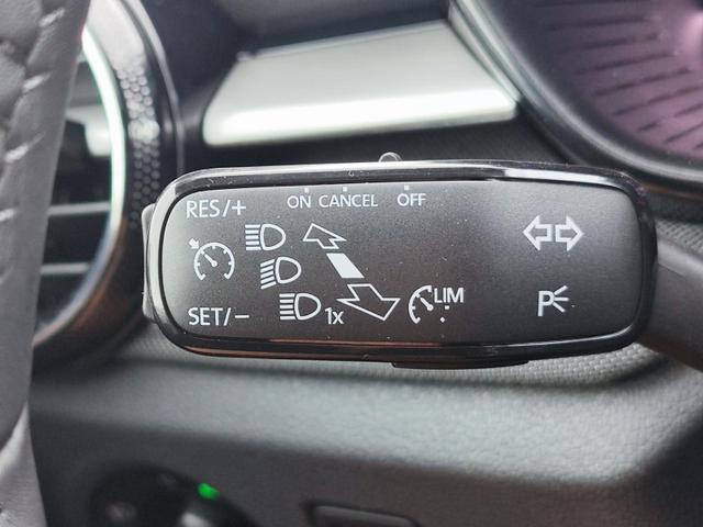 Skoda Fabia 130 Jahre Premium 70KW/95PS Einparkhilfe v+h Rückfahrkamera Totwinkel-Assistent Alufelgen 16" Sitzheizung Garantie 5 bis 100.000Km doppelter Ladeboden Klimaautomatik virtuelles Tacho 10" 