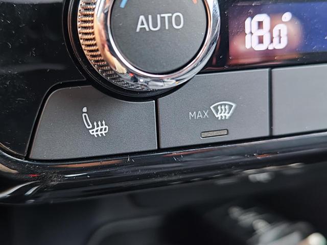 Skoda Fabia 130 Jahre Premium 70KW/95PS Einparkhilfe v+h Rückfahrkamera Totwinkel-Assistent Alufelgen 16" Sitzheizung Garantie 5 bis 100.000Km doppelter Ladeboden Klimaautomatik virtuelles Tacho 10" 