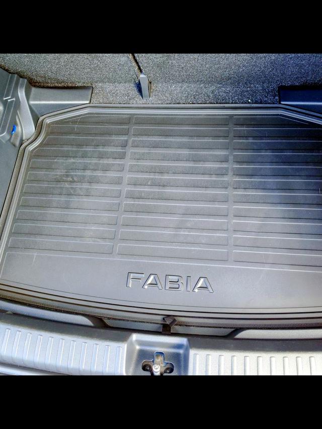 Skoda Fabia Ambition 1.0TSI 95PS mit Tempomat Einparkhilfe hinten Sitzheizung Klimaautomatik DAB Radio Bluetooth Smart Link LED-Scheinwerfer Multifunktions-Lederlenkrad 