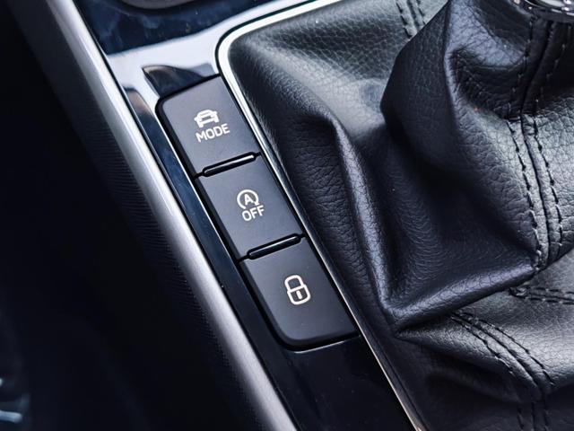 Skoda Fabia 130 Jahre Premium 85KW/116PS DSG-Automatik Bi-LED Scheinwerfer ACC Abstandstempomat Spurhalte-Assistent Einparkhilfe v+h R&uuml;ckfahrkamera Totwinkel-Assistent Alufelgen 16" Sitzheizung Garantie 5 Ladeboden virtuelles Tacho 10" Fernlicht-Assist 