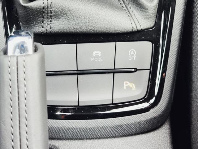 Skoda Kamiq Selection 115 PS Schaltgetriebe mit AHK schwenkbar R&uuml;ckfahrkamera PDC vorne+hinten Tempomat Sitzheizung DAB Radio Kessy 