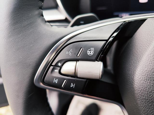 Skoda Fabia Top Selection L 115PS DSG Automatik ACC Abstandstempomat Sitz und Lenkradheizung Spurwechselassistent&nbsp; Adaptive Spurf&uuml;hrung Klimaautomatik Einparkhilfe vorne +hinten + R&uuml;ckfahrkamera Gro&szlig;es digitales Tacho 10" KESSY (KeylesGo) LED Scheinwerfer 