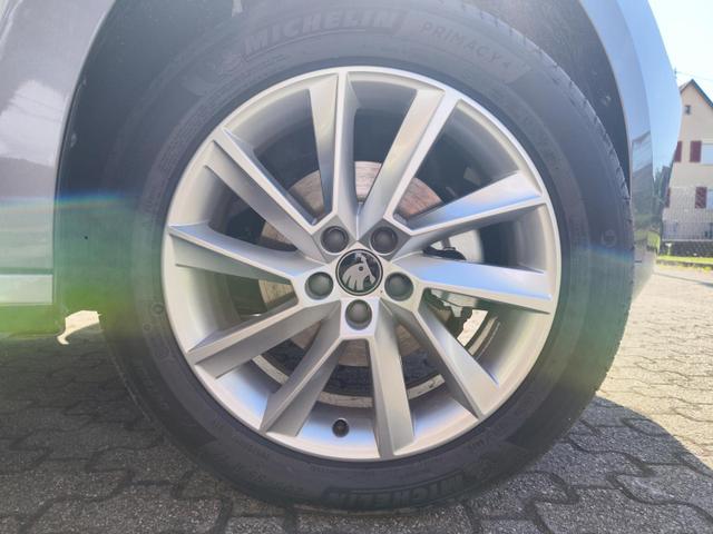Skoda Kamiq Neuwagen von Birkle Mobile in Reute bei Freiburg