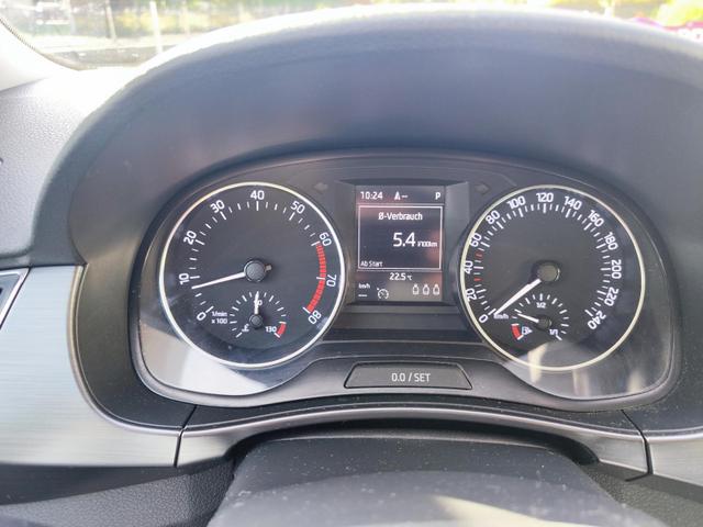 Skoda Fabia Combi bei Birkle Mobile in 79276 Reute bei Freiburg