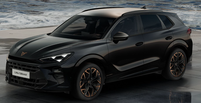 Cupra Terramar - VZ 2.0 TSI 265PS DSG 4DRIVE, 5J Garantie, PANORAMADACH, 20" Alu HADRON, AHK SCHWENKBAR, MATRIX-LED, NAVI 12,9", INTERIOR MOON-LIGHT, Elektr. Heckklappe, 3Z-Climatronic, DCC, ACC, Alarm, Kessy, Privacy-Glas, PDC v/h, TOP-VIEW-Kamera, M-Lederlenkrad, HEAD-UP