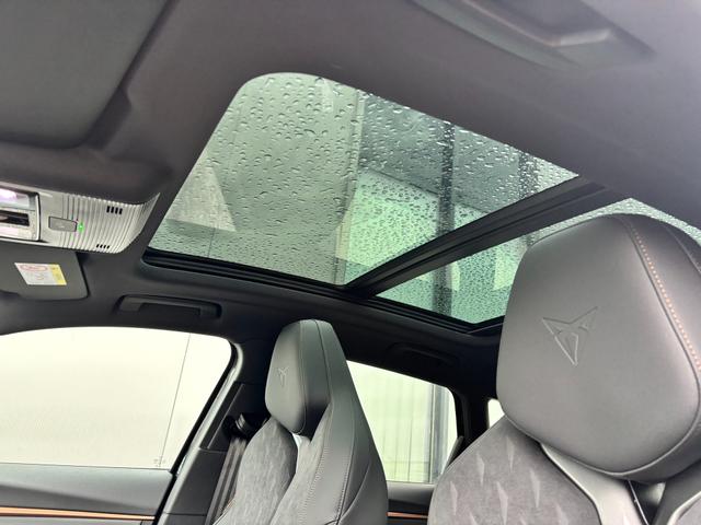 Cupra Terramar VZ 2.0 TSI 265PS DSG 4DRIVE, 5J Garantie, PANORAMADACH, 20" Alu HADRON, AHK SCHWENKBAR, MATRIX-LED, NAVI 12,9", INTERIOR MOON-LIGHT, Elektr. Heckklappe, 3Z-Climatronic, DCC, ACC, Alarm, Kessy, Privacy-Glas, PDC v/h, TOP-VIEW-Kamera, M-Lederlenkrad, HEAD-UP 