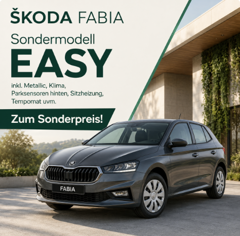 Skoda Fabia - Easy 1.0 TSI 95PS, METALLIC, LED-Scheinwerfer, M-Lederlenkrad, Nebelscheinwerfer, Parksensoren hinten, Sitzheizung, Tempomat, Klimaanlage, Infotainment 8", Fu&szlig;matten, 4fach elektr. Fensterheber, Mittelarmlehne vorne