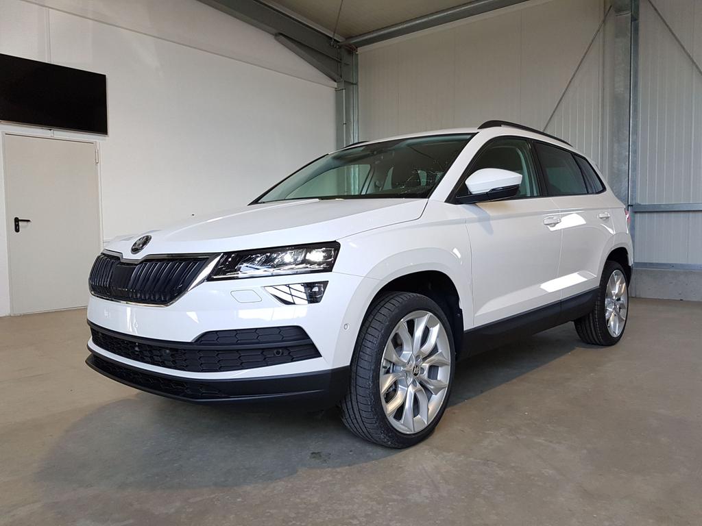 Skoda karoq style