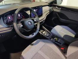 Skoda Octavia Combi Exclusive 2.0 TDI 150 PS DSG Neues Modell Navi-AndroidAuto-AppleCarPlay-Teilleder-Rückfahrkamera-ACC-DigitalCockpit-LED-Matrix-Ambientebeleuchtung-Keyless-el.Heckklappe-17''Alu-sofort 