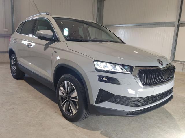 Skoda / Karoq / Grau / / / , Beispielbilder