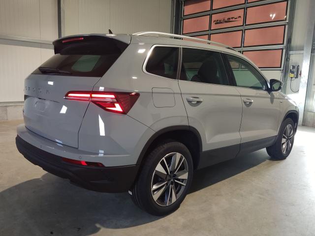 Skoda / Karoq / Grau / / / , Beispielbilder