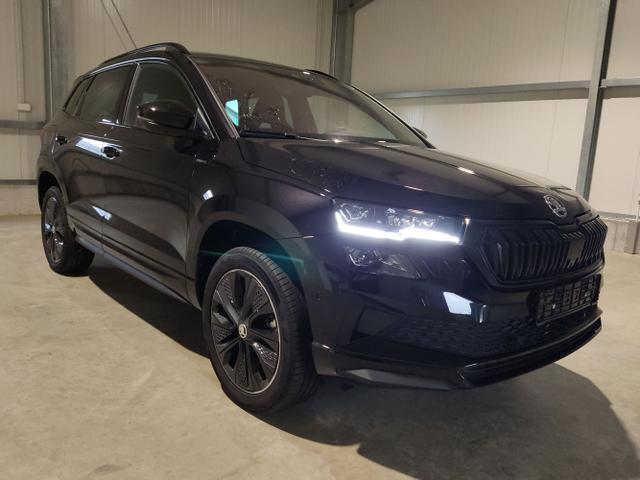 Skoda / Karoq / Schwarz / / / , Beispielbilder, ggf. teilweise mit Sonderausstattung