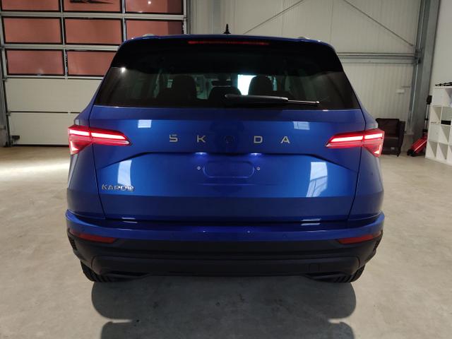 Skoda / Karoq / Blau / / / , Beispielbilder