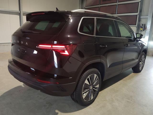 Skoda / Karoq / Schwarz / / / , Beispielbilder