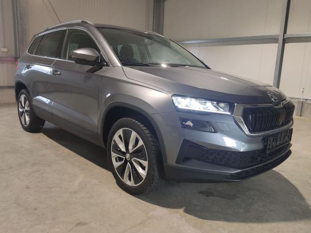 Skoda / Karoq / Grau / / / , Beispielbilder