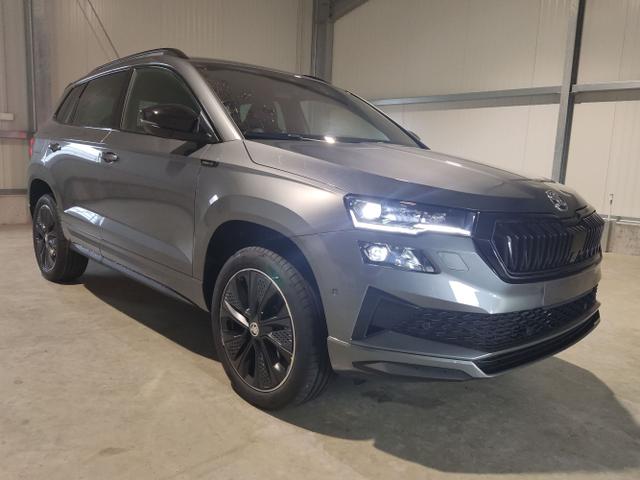 Skoda / Karoq / Grau / / / , Beispielbilder