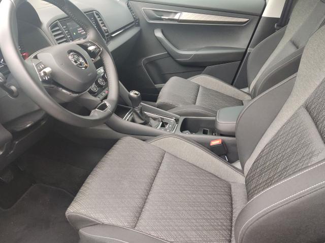 Skoda / Karoq / Grau / / / , Beispielbilder, ggf. teilweise mit Sonderausstattung