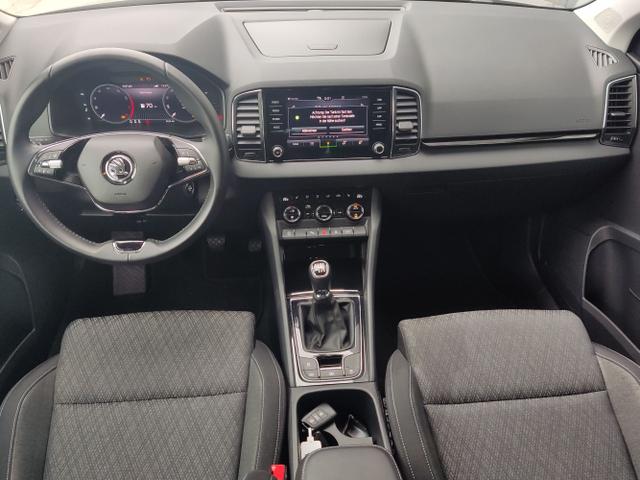Skoda / Karoq / Grau / / / , Beispielbilder, ggf. teilweise mit Sonderausstattung