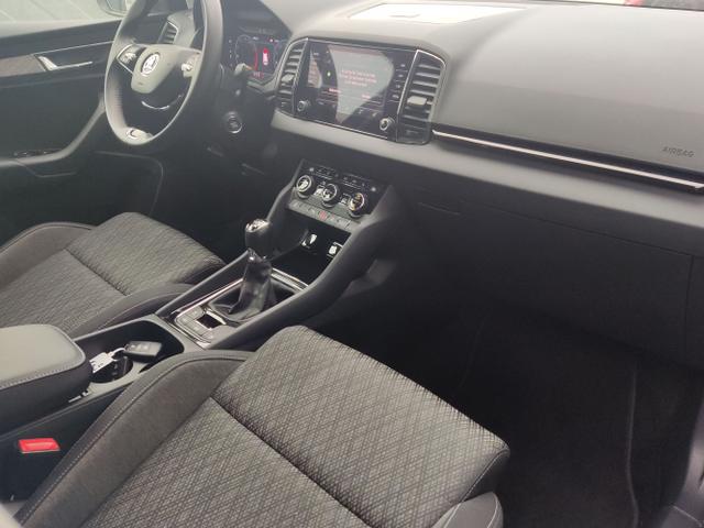 Skoda / Karoq / Grau / / / , Beispielbilder, ggf. teilweise mit Sonderausstattung