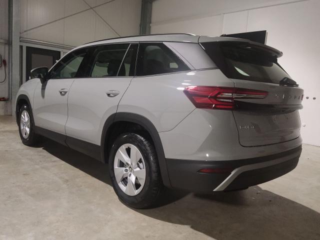 Skoda / Kodiaq / Grau / / / , Beispielbilder