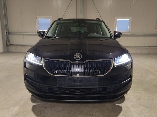 Skoda / Karoq / Schwarz / / / , Beispielbilder, ggf. teilweise mit Sonderausstattung