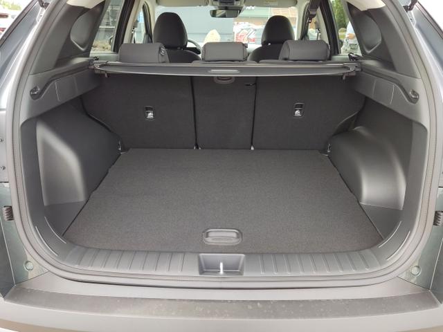 Hyundai / TUCSON / Grün / / / , Beispielbilder, ggf. teilweise mit Sonderausstattung