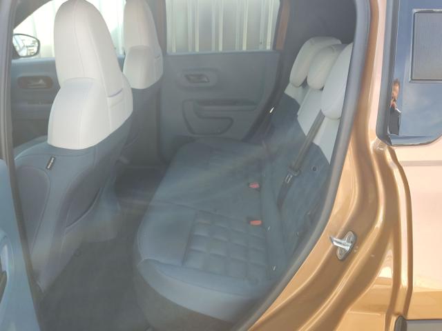 Fiat / Grande Panda / Braun / / / 