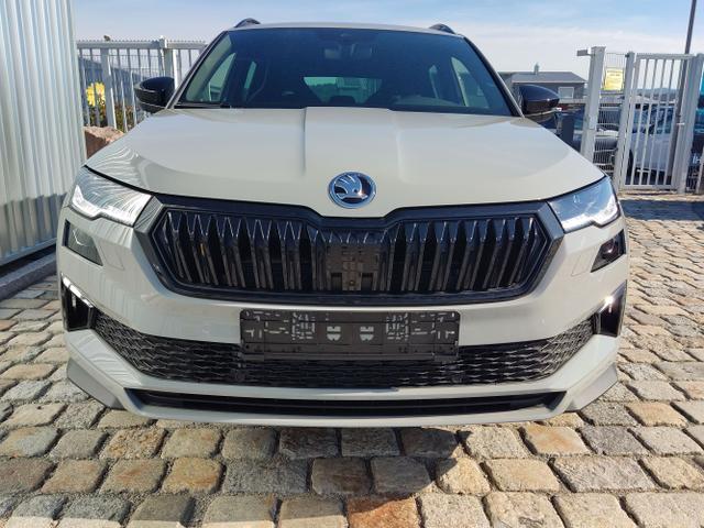 Skoda / Karoq / Grau / / / , Beispielbilder, ggf. teilweise mit Sonderausstattung
