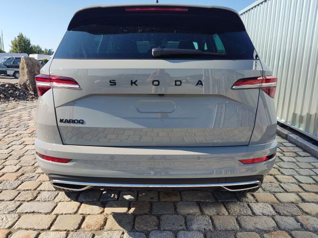 Skoda / Karoq / Grau / / / , Beispielbilder, ggf. teilweise mit Sonderausstattung