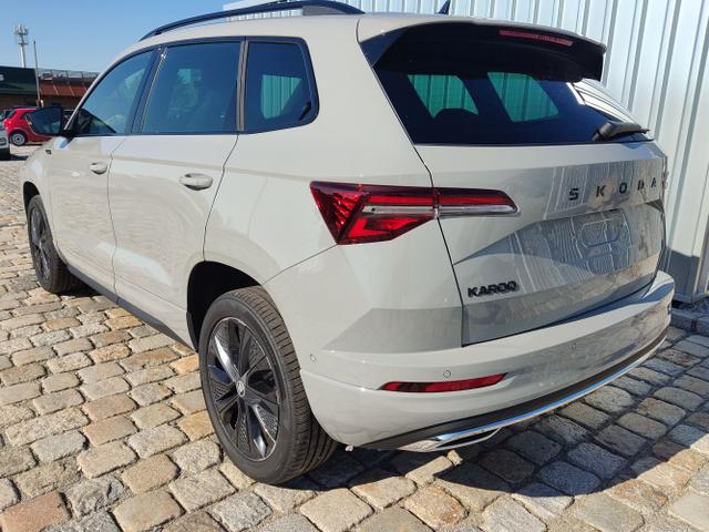 Skoda / Karoq / Grau / / / , Beispielbilder, ggf. teilweise mit Sonderausstattung