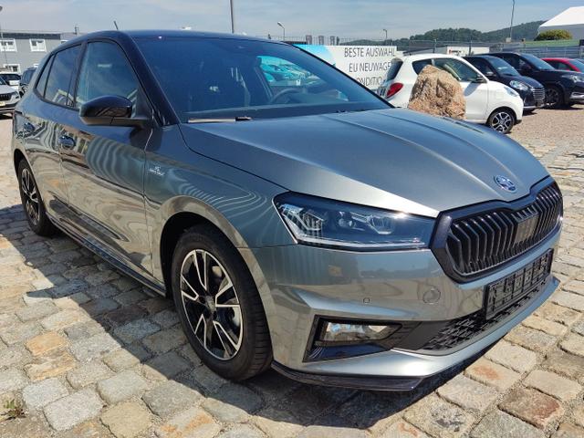 Skoda / Fabia / Grau / / / , Beispielbilder, ggf. teilweise mit Sonderausstattung
