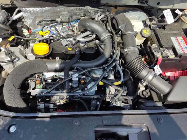 Dacia / Sandero Stepway / Beige / / / 