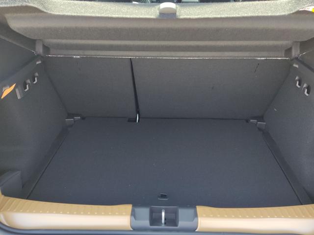 Dacia / Sandero Stepway / Beige / / / 