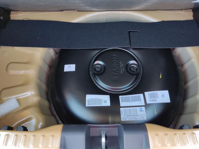 Dacia / Sandero Stepway / Beige / / / 