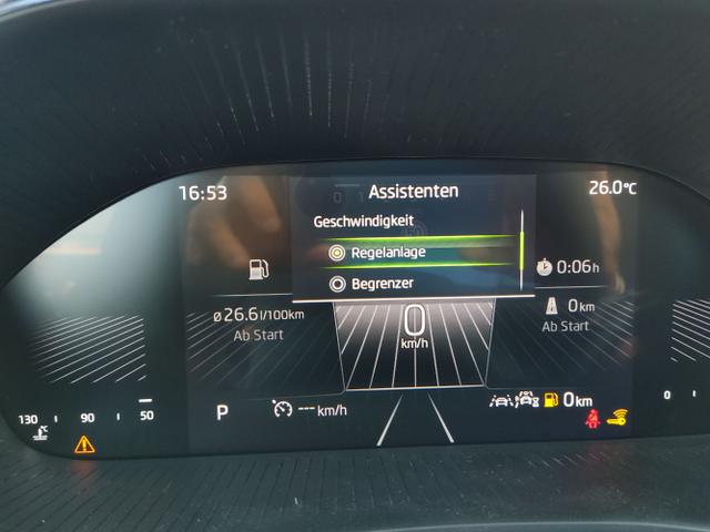 Skoda / Fabia / Grau / / / , Beispielbilder