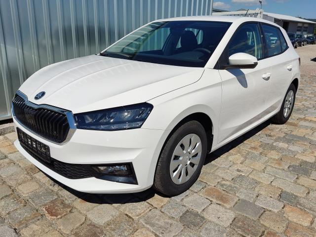 Skoda Fabia - Selection 1.0 TSI 116 PS 4-Jahre-Garantie-AppleCarPlay-AndroidAuto-LED-PDC-Sitzheizung-DAB-Klima-Sofort