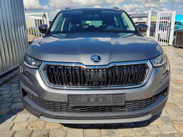 Skoda / Kodiaq / Grau / / / 