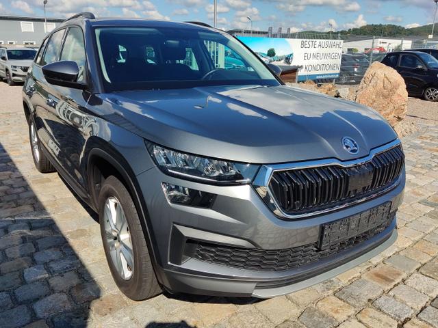 Skoda / Kodiaq / Grau / / / 