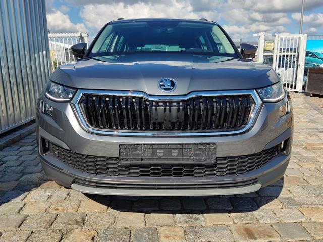 Skoda / Kodiaq / Grau / / / 