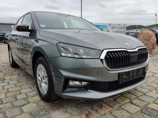 Skoda / Fabia / Grau / / / 