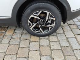 Kia Sportage Urban 1.6 T-GDI MHEV 160 PS -Navi 12,3 Zoll-Rückfahrkamera-AppleCarPlay-AndroidAuto-Klimaautomatik-SHZ-LED-17''Alu-Sofort 
