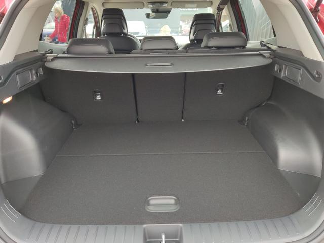 Kia / Sportage / Rot / / / , Beispielbilder