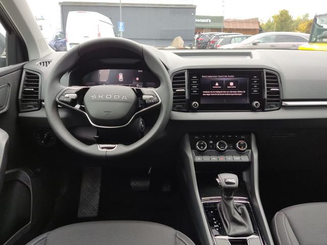 Skoda / Karoq / Grau / / / , Beispielbilder