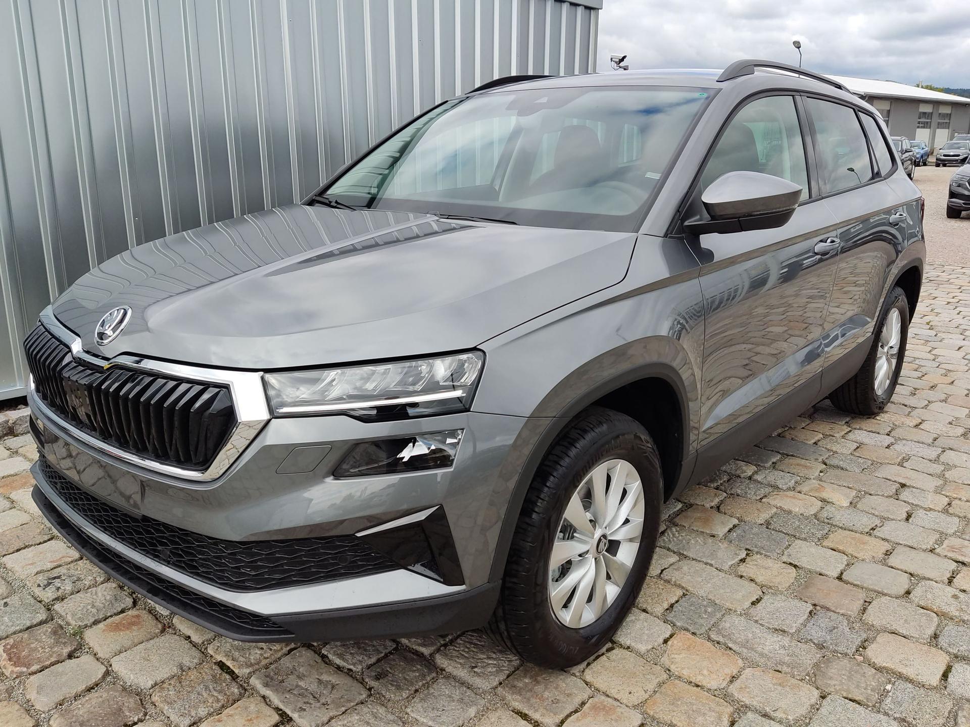 Skoda / Karoq / Grau /  /  / 